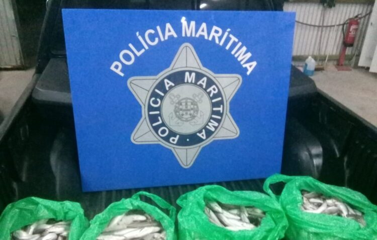 Polícia Marítima apreende cerca de 50 quilos de de pescado no porto da Nazaré