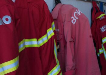 Queimada descontrolada obrigou à intervenção de 40 elementos em Monte Real