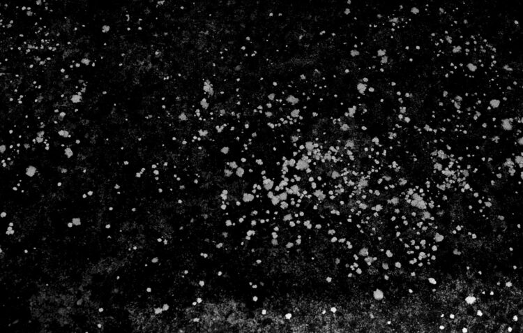 Fotografia: cinco ensaios em livro para celebrar o Dia da Mulher