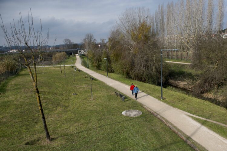 Covid-19: Metade dos novos casos de SARS-CoV-2 foram registados em Leiria. Alcobaça tem o maior número de recuperados