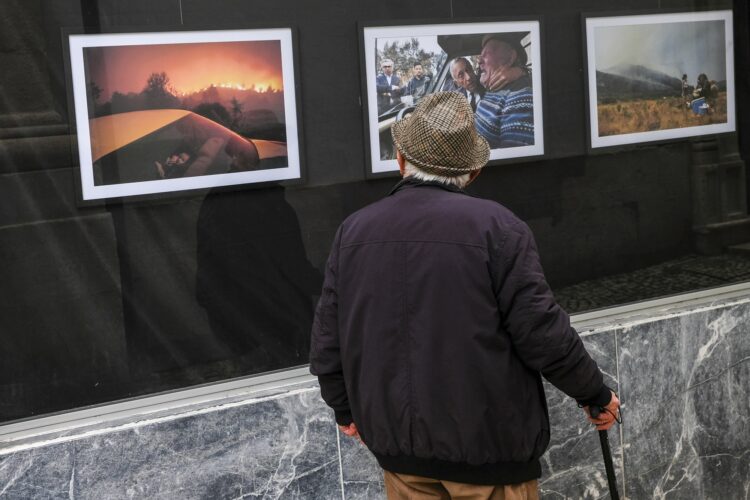 Para ver ao ar livre: imagem seleccionada para o World Press Photo patente em Leiria