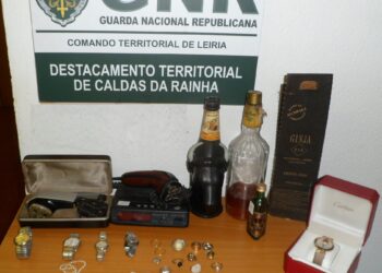 Adolescente identificado e adultos constituídos arguidos por furto