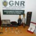 Adolescente identificado e adultos constituídos arguidos por furto