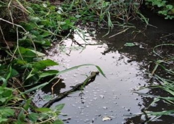 GNR detecta descarga ilegal em Alcobaça