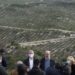 Quase 2 milhões de plantas instaladas no Pinhal de Leiria e deputados do PSD querem saber de onde vieram