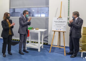 Centro Biomarinho com maternidade de bivalves inaugurado na Nazaré 