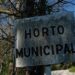 Tem um jardim? O Município de Leiria oferece-lhe cerejeiras, carvalhos ou medronheiros