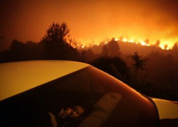 World Press Photo premeia Nuno André Ferreira, de Leiria, com terceiro lugar