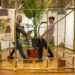 Nesta Casa Comum, a arte toma partido pela Natureza