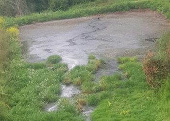 GNR detecta descarga ilegal de efluentes pecuários em Caldas da Rainha