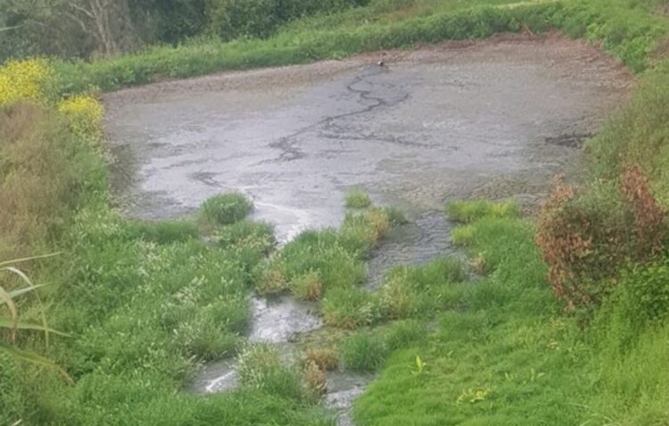 GNR detecta descarga ilegal de efluentes pecuários em Caldas da Rainha