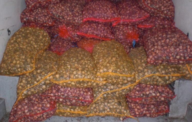 Apreendidos 390 quilos de bivalves em Caldas da Rainha