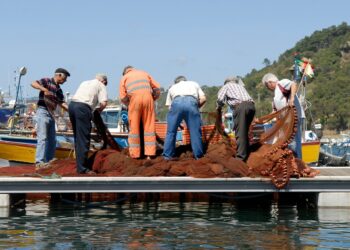 Docapesca lança concurso para requalificação do edifício da Lota no Porto da Nazaré