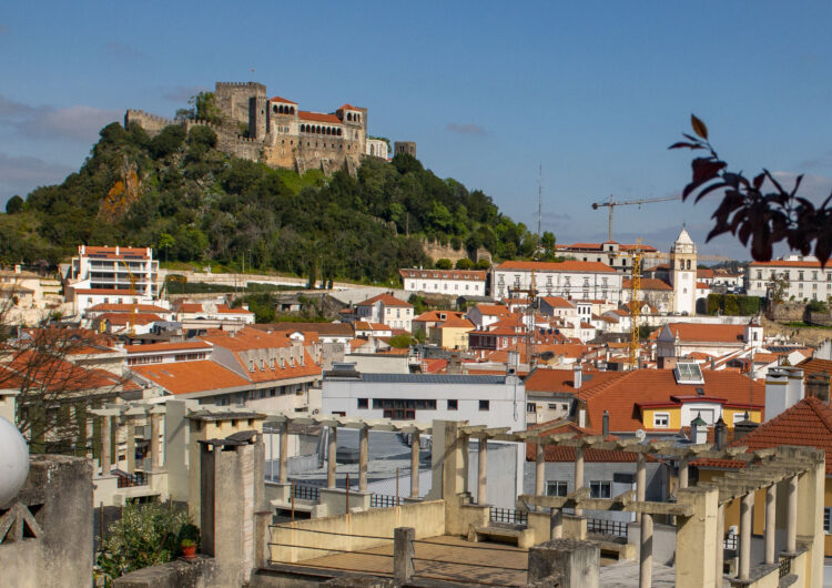 Mata da encosta do Castelo de Leiria ganha percursos e zonas para passeio e exercício