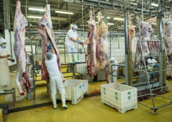 Mapicentro procura parceiro para  dar novo fôlego ao matadouro