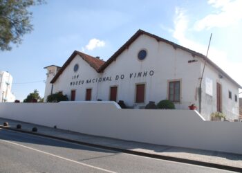 Museu do Vinho inaugura espaços remodelados em Maio