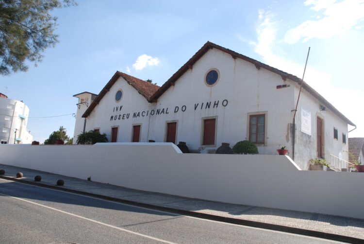 Museu do Vinho inaugura espaços remodelados em Maio
