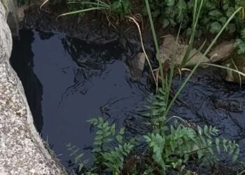 Descarga poluente em Ansião deixa rio Nabão pintado de negro