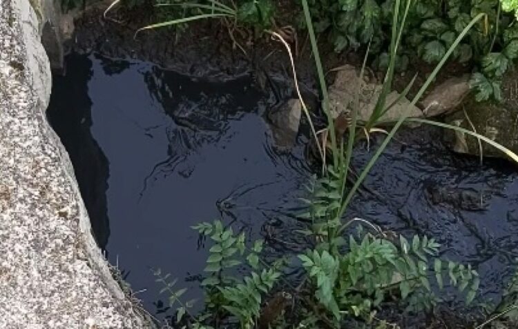 Descarga poluente em Ansião deixa rio Nabão pintado de negro
