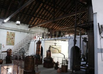 Museu do Vinho de Alcobaça abre novas áreas após requalificação de 460 mil euros