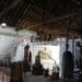 Museu do Vinho de Alcobaça abre novas áreas após requalificação de 460 mil euros