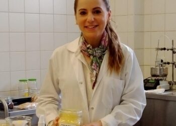 Quando de cascas se fazem embalagens para comer