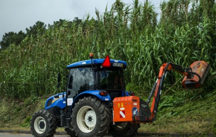 Prazo para limpar terrenos termina hoje