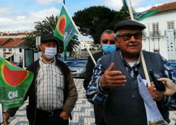 Agricultores contra a política de preços baixos à produção apelam a mais apoios