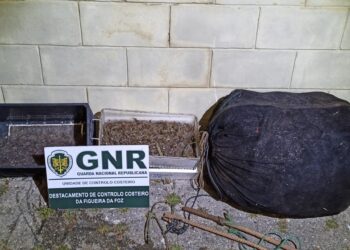 GNR actua contra pesca ilegal e resgata 8,5 quilos de meixão