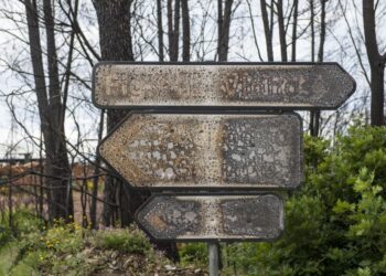 Pedrógão Grande: Julgamento sobre responsabilidade dos incêndios começa hoje em Leiria
