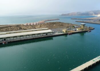 Docapesca adjudica obras de 250 mil euros na lota da Nazaré