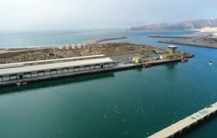 Docapesca adjudica obras de 250 mil euros na lota da Nazaré