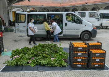 Município de Leiria e NERLEI oferecem produtos da horta a IPSS do concelho