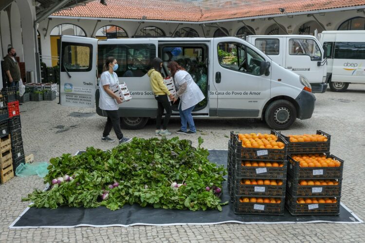 Município de Leiria e NERLEI oferecem produtos da horta a IPSS do concelho