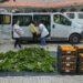 Município de Leiria e NERLEI oferecem produtos da horta a IPSS do concelho
