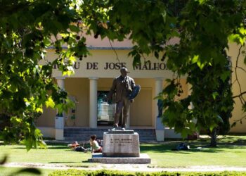 Em Caldas da Rainha e Figueiró dos Vinhos, Projecto Casulos com Malhoa, Dado e Carolein Smit