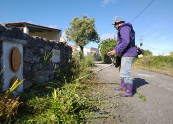Em Penedos Belos, Porto de Mós, são os moradores que cortam as ervas junto à estrada