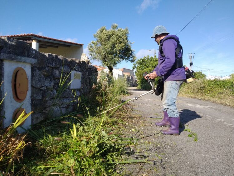 Em Penedos Belos, Porto de Mós, são os moradores que cortam as ervas junto à estrada