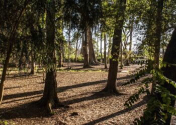 Ferro Rodrigues inaugura esta terça-feira a requalificação do parque do Tremelgo no Pinhal de Leiria