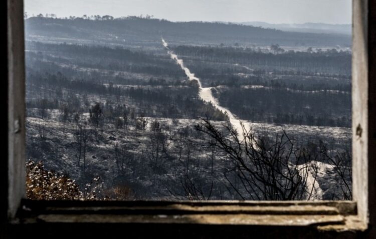 Associação alerta para avanço da duna no Samouco, que duplicou desde o incêndio de 2017 no Pinhal de Leiria