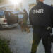 Mega-operação da PSP de Leiria faz 12 detenções e apreensões em oito concelhos