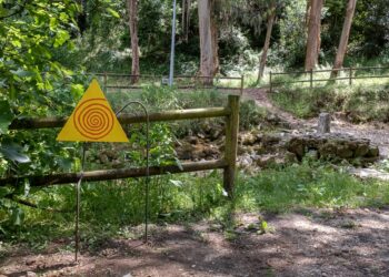 Veja (e ouça) a primeira instalação do projecto Nascentes já colocada junto ao rio Lis