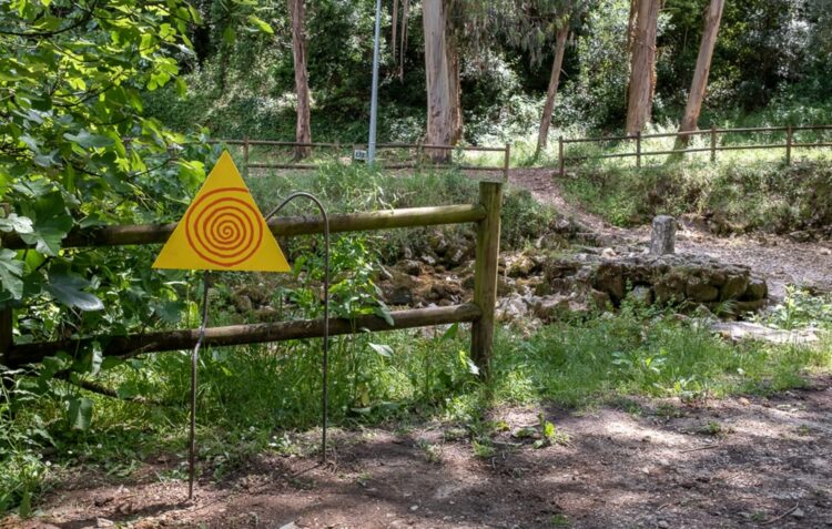 Veja (e ouça) a primeira instalação do projecto Nascentes já colocada junto ao rio Lis