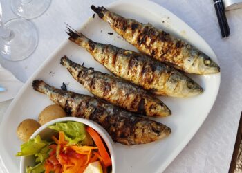 Festival regressa ao Pedrógão com a sardinha na broa ou no pão