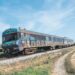 Leiria e Oeste têm melhor acesso à rodovia do que à ferrovia