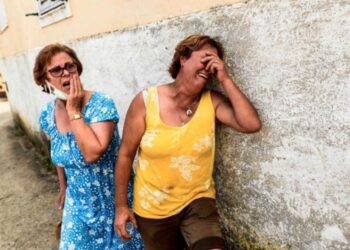 Seria “impossível” concluir reforma florestal em quatro anos