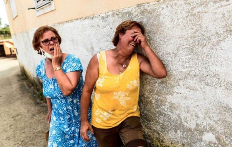 Seria “impossível” concluir reforma florestal em quatro anos