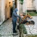 Alcobaça lança campanha solidária para esterilização de animais domésticos