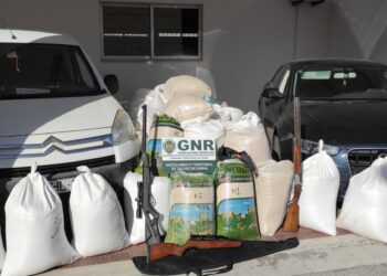 GNR de Caldas da Rainha detém quatro suspeitos por furto, posse de armas e munições proibidas e identifica 20 por furto e receptação