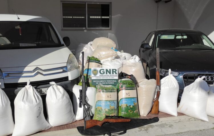 GNR de Caldas da Rainha detém quatro suspeitos por furto, posse de armas e munições proibidas e identifica 20 por furto e receptação